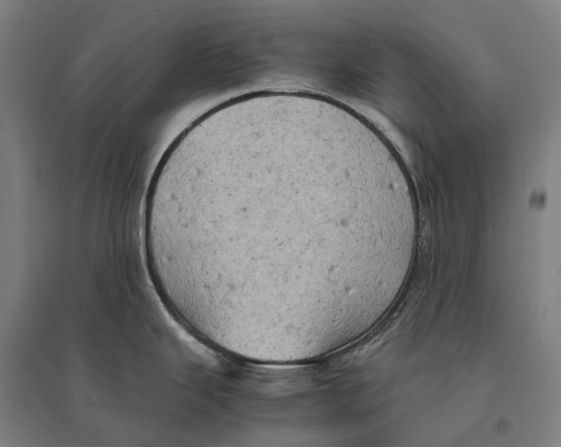 X0000095121343200712301751