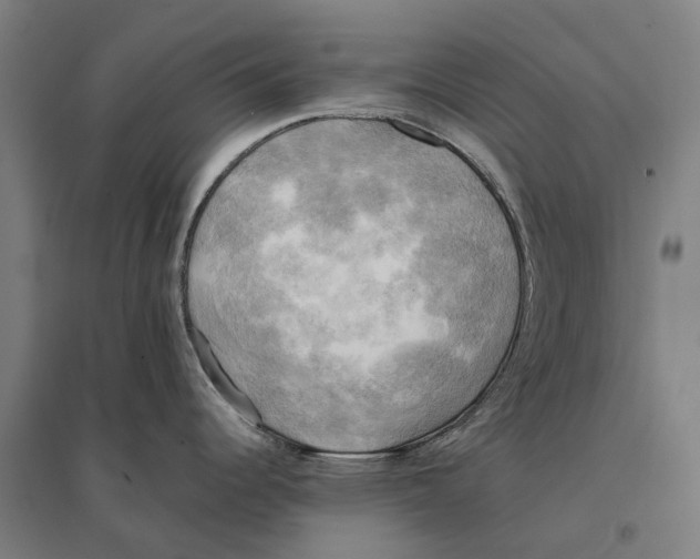 X0000095121344200712301751