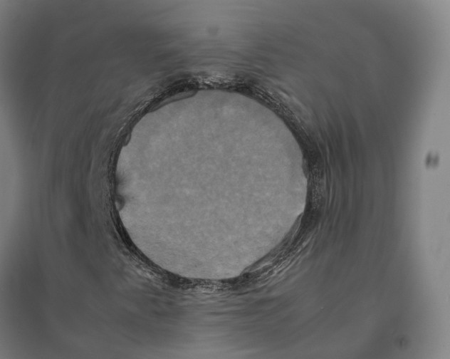 X0000095121345200712301751