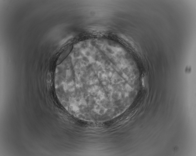 X0000095121347200712301751