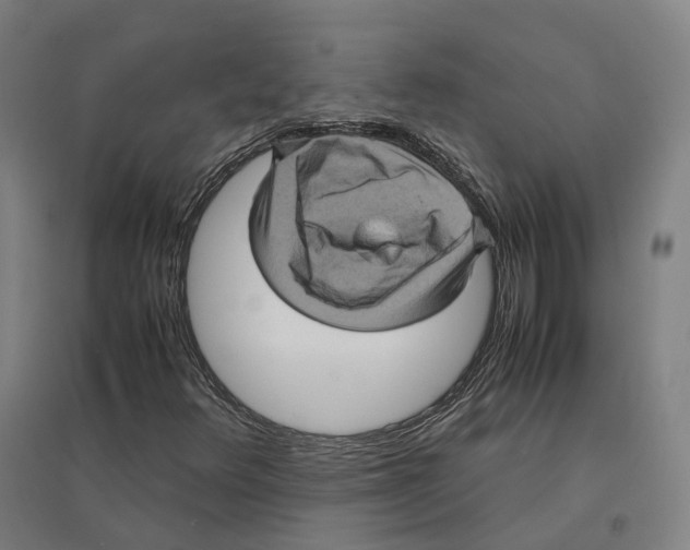 X0000095121348200712301751