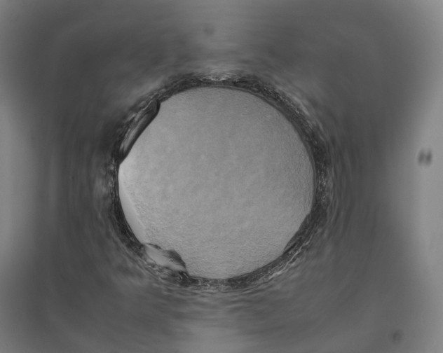 X0000095121349200712301751