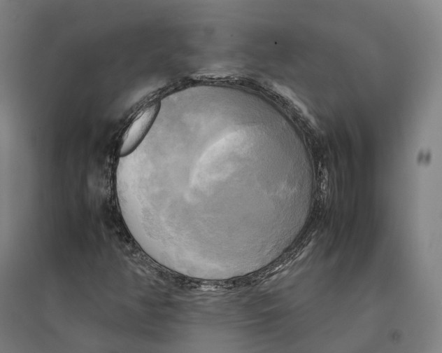 X0000095121350200712301751