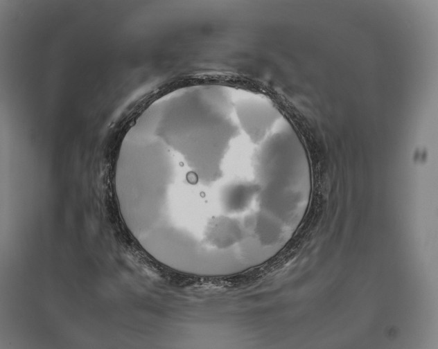 X0000095121351200712301751