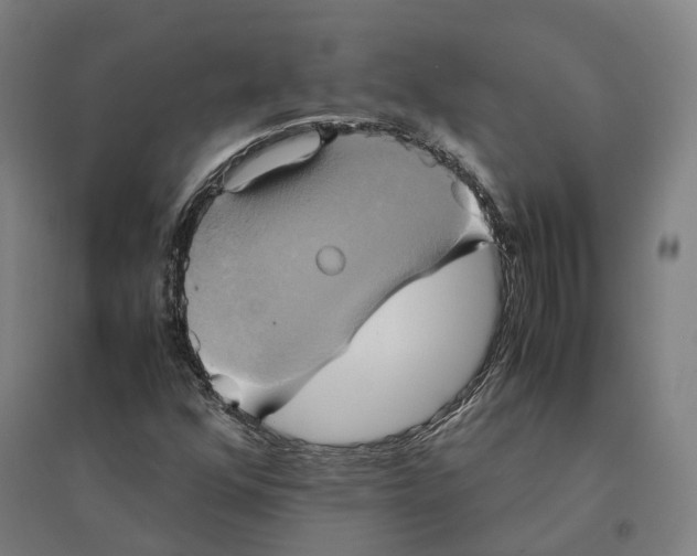 X0000095121352200712301751