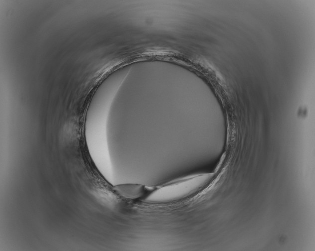 X0000095121353200712301750