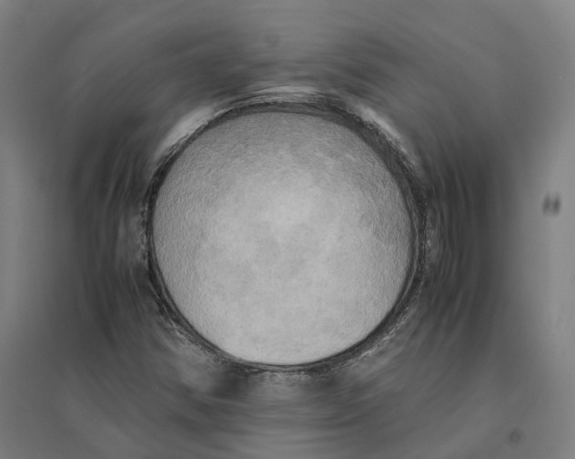 X0000095121354200712301750