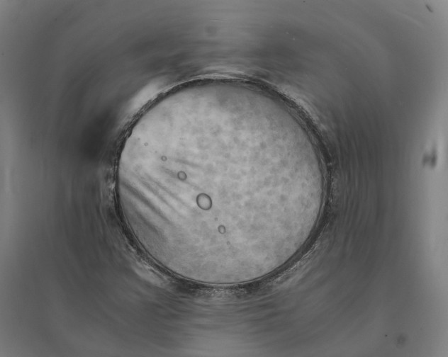 X0000095121355200712301750