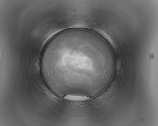 X0000095121356200712301750