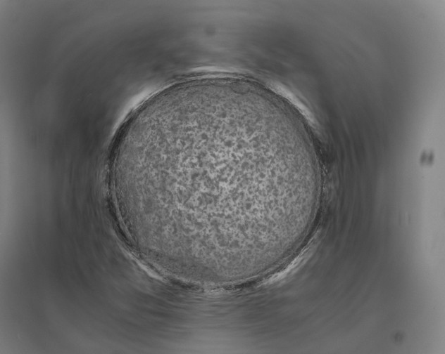 X0000095121357200712301750