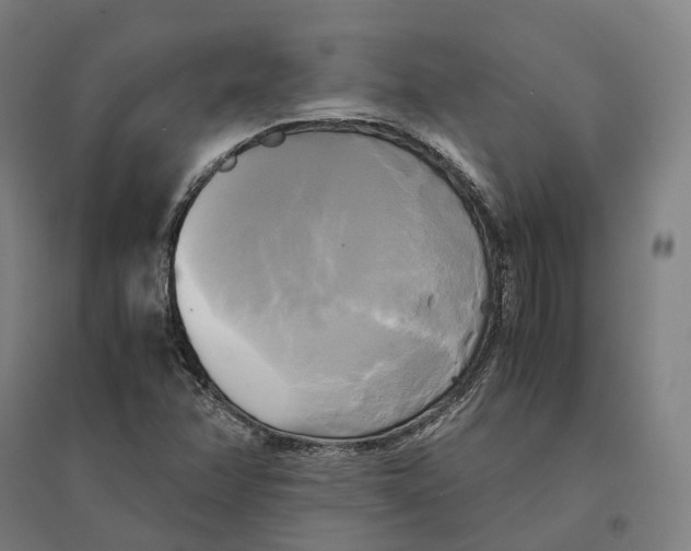 X0000095121358200712301750