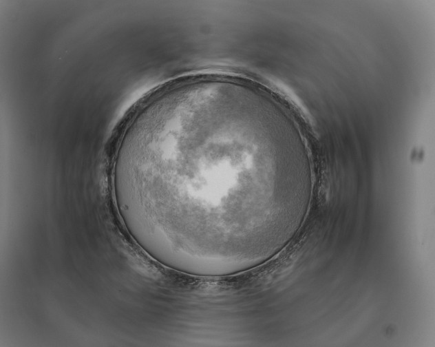 X0000095121360200712301750