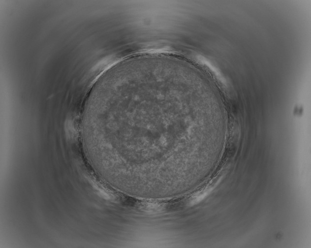 X0000095121361200712301750