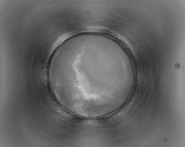 X0000095121362200712301750