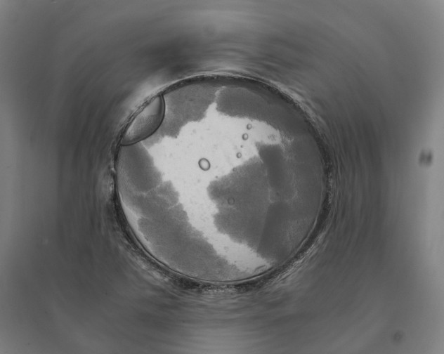 X0000095121363200712301750