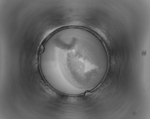 X0000095121364200712301750