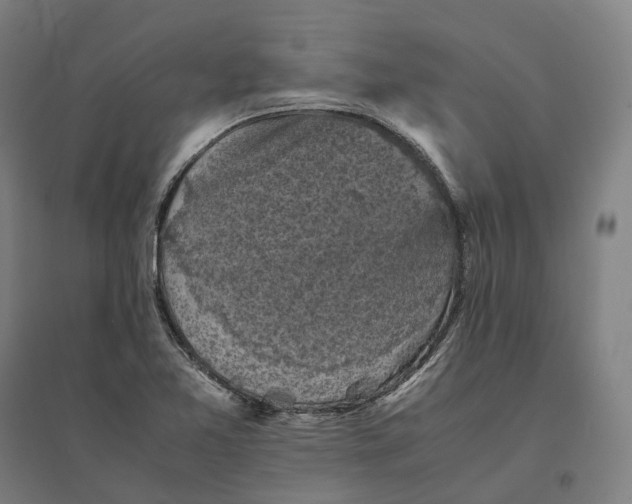 X0000095121365200712301750