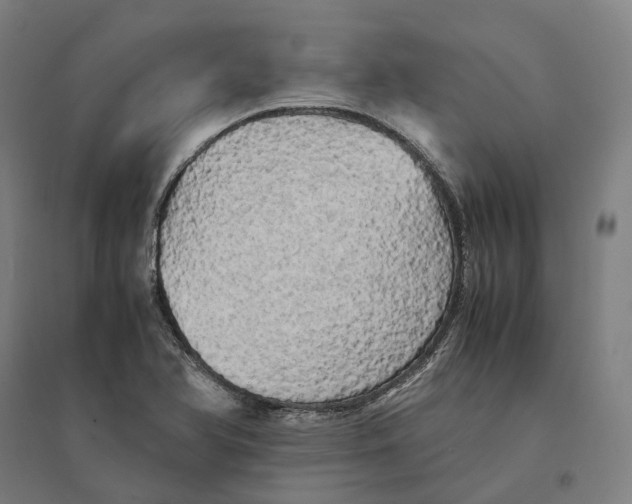 X0000095121366200712301750