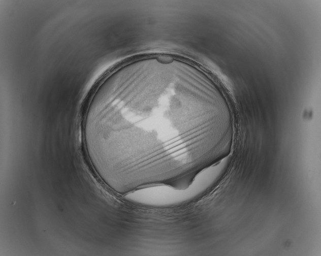 X0000095121368200712301750