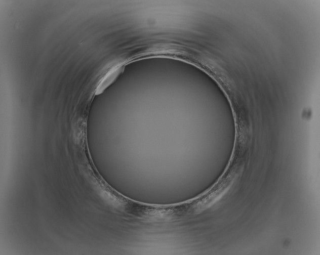 X0000095121369200712301750