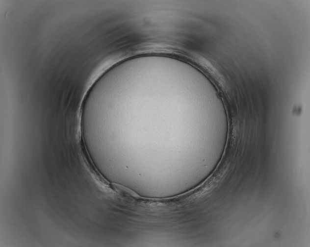 X0000095121370200712301750