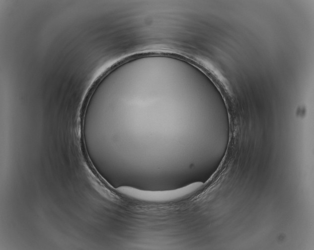 X0000095121372200712301750