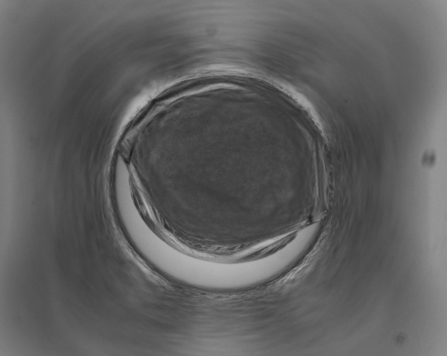 X0000095121373200712301750