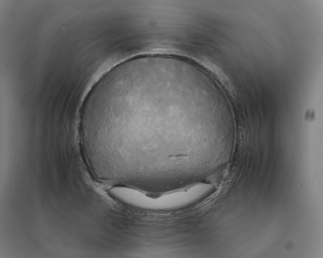 X0000095121374200712301750