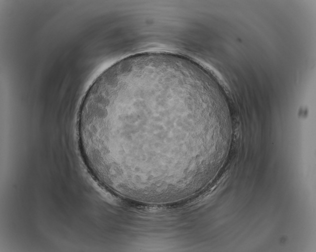 X0000095121375200712301750