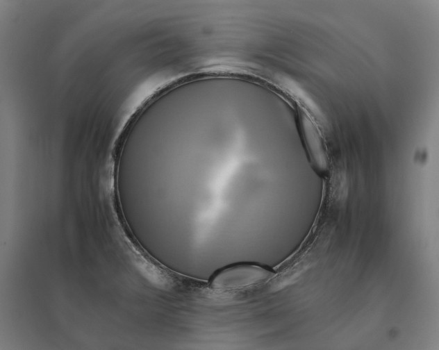 X0000095121376200712301750