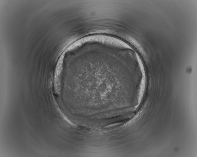 X0000095121377200712301750