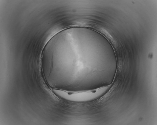 X0000095121378200712301750