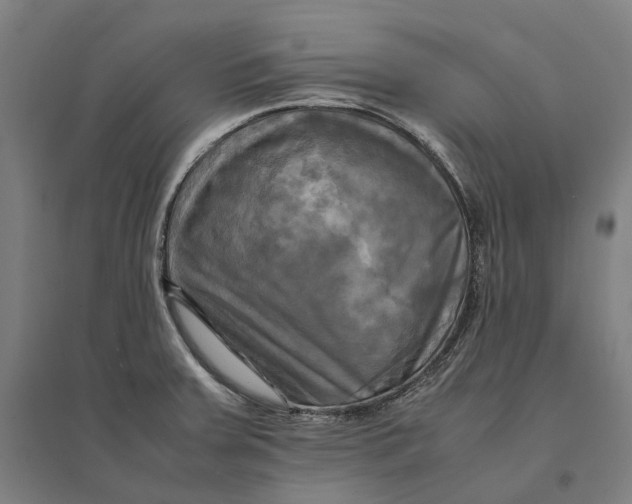 X0000095121379200712301750