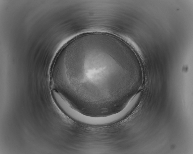 X0000095121380200712301750