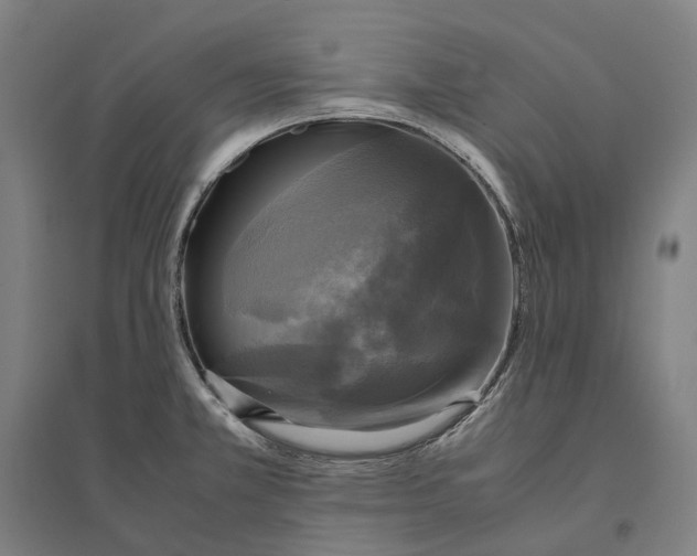 X0000095121381200712301750