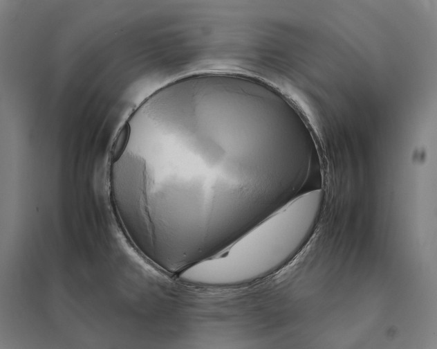 X0000095121382200712301750