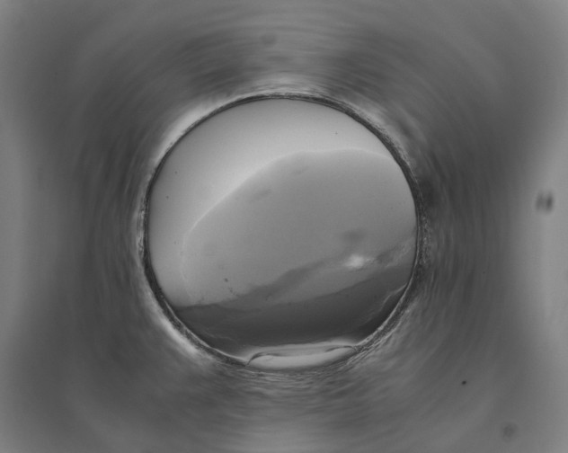 X0000095121383200712301750