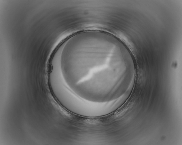 X0000095121384200712301750