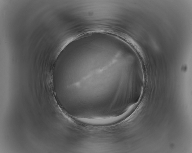 X0000095121385200712301750