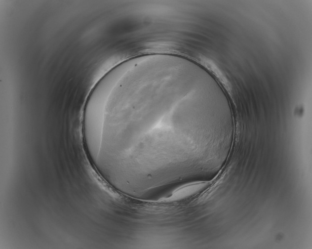 X0000095121386200712301750