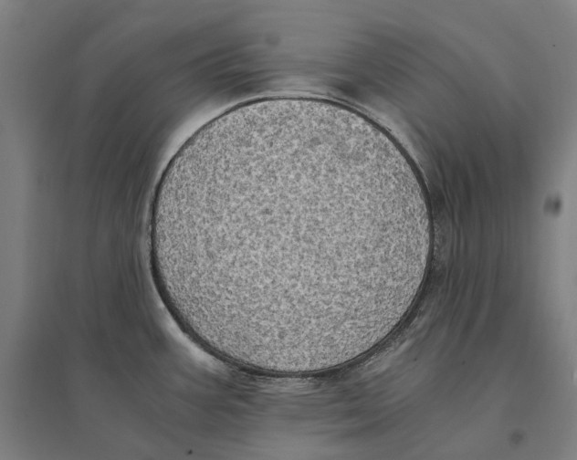 X0000095121387200712301750