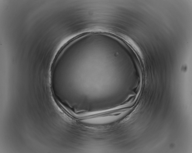 X0000095121388200712301750