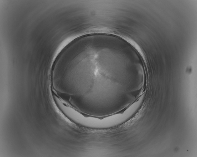 X0000095121389200712301750