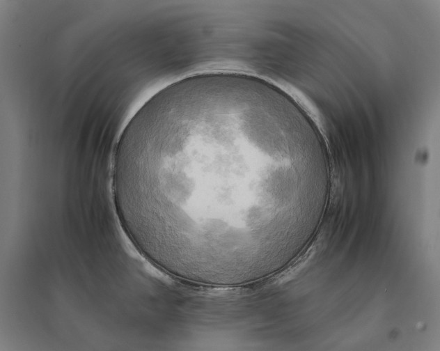 X0000095121390200712301750