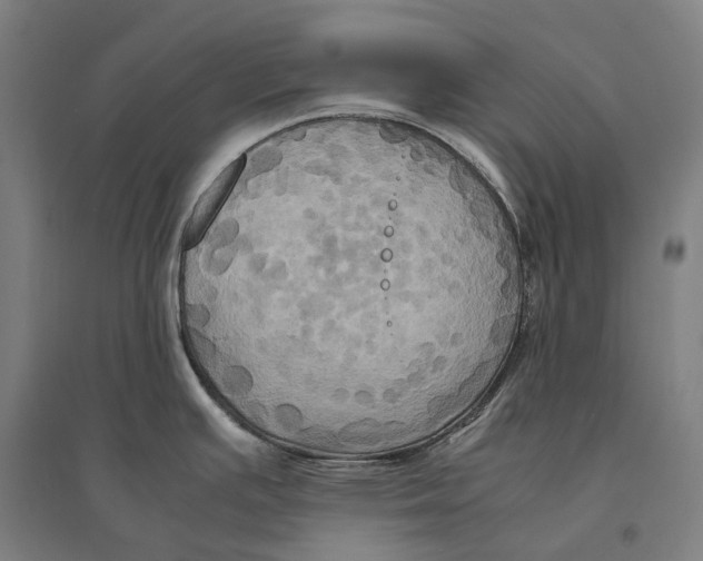 X0000095121391200712301750