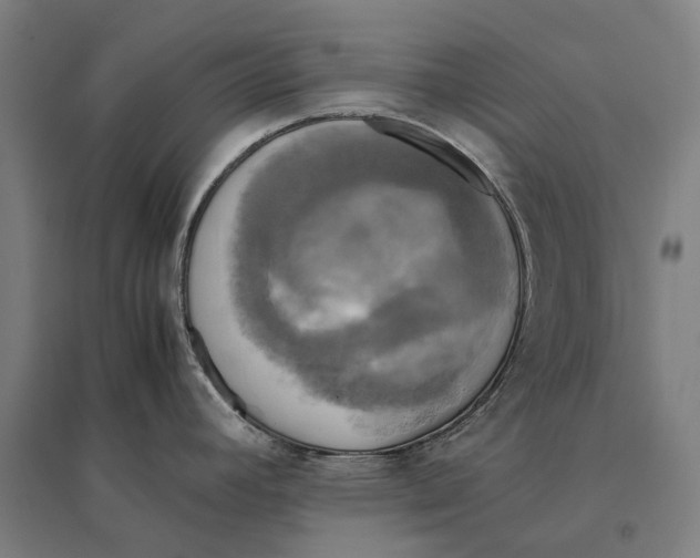 X0000095121392200712301750