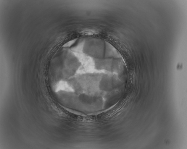 X0000095121393200712301749