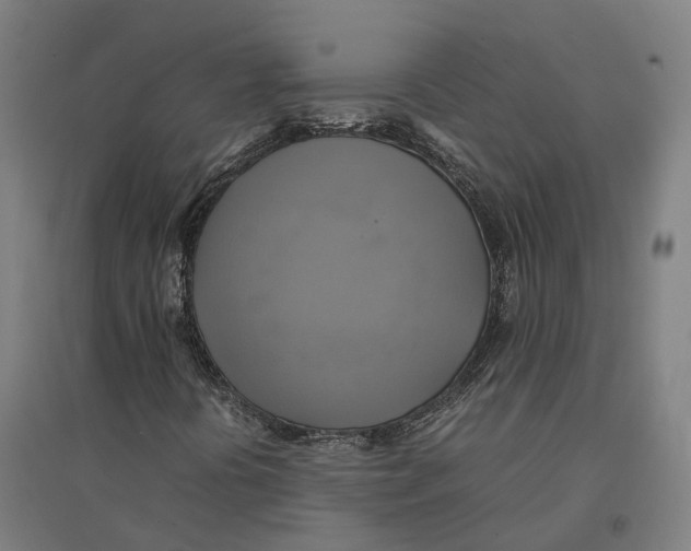 X0000095121394200712301749