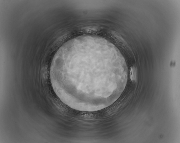 X0000095121395200712301749