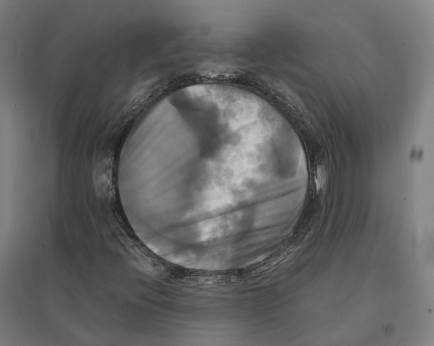 X0000095121396200712301749